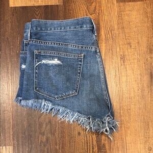 Free People Blue Jean Shorts